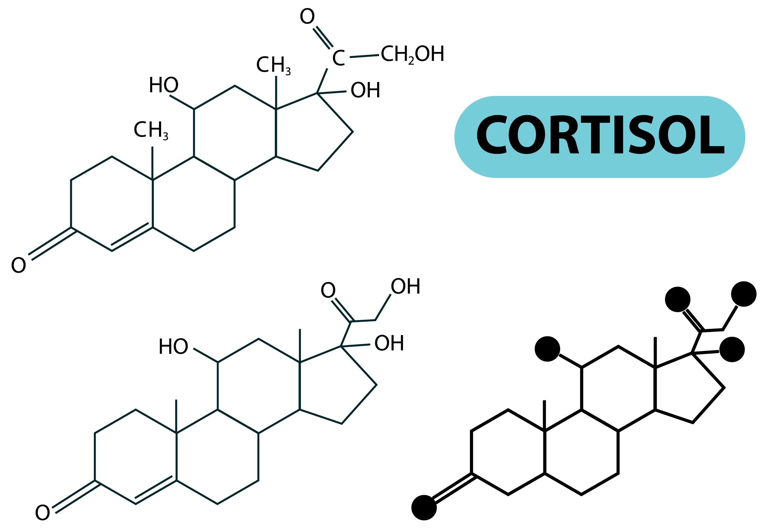 cortisol matin élevé